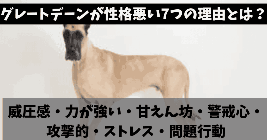わんにゃん🐾ガイド | ペットとの暮らしが100倍楽しくなるブログ！