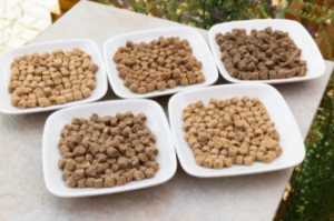 ピリカメディカルサロン 漢方ごはん