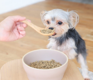 わんこのヘルシー食卓